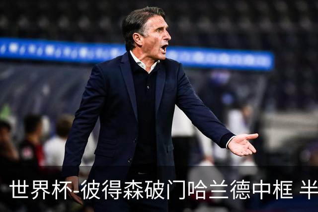 世界杯-彼得森破门哈兰德中框 半场挪威1-0塞内加尔