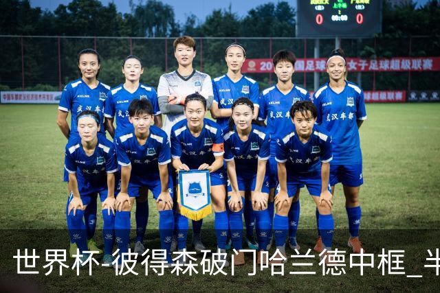 世界杯-彼得森破门哈兰德中框 半场挪威1-0塞内加尔